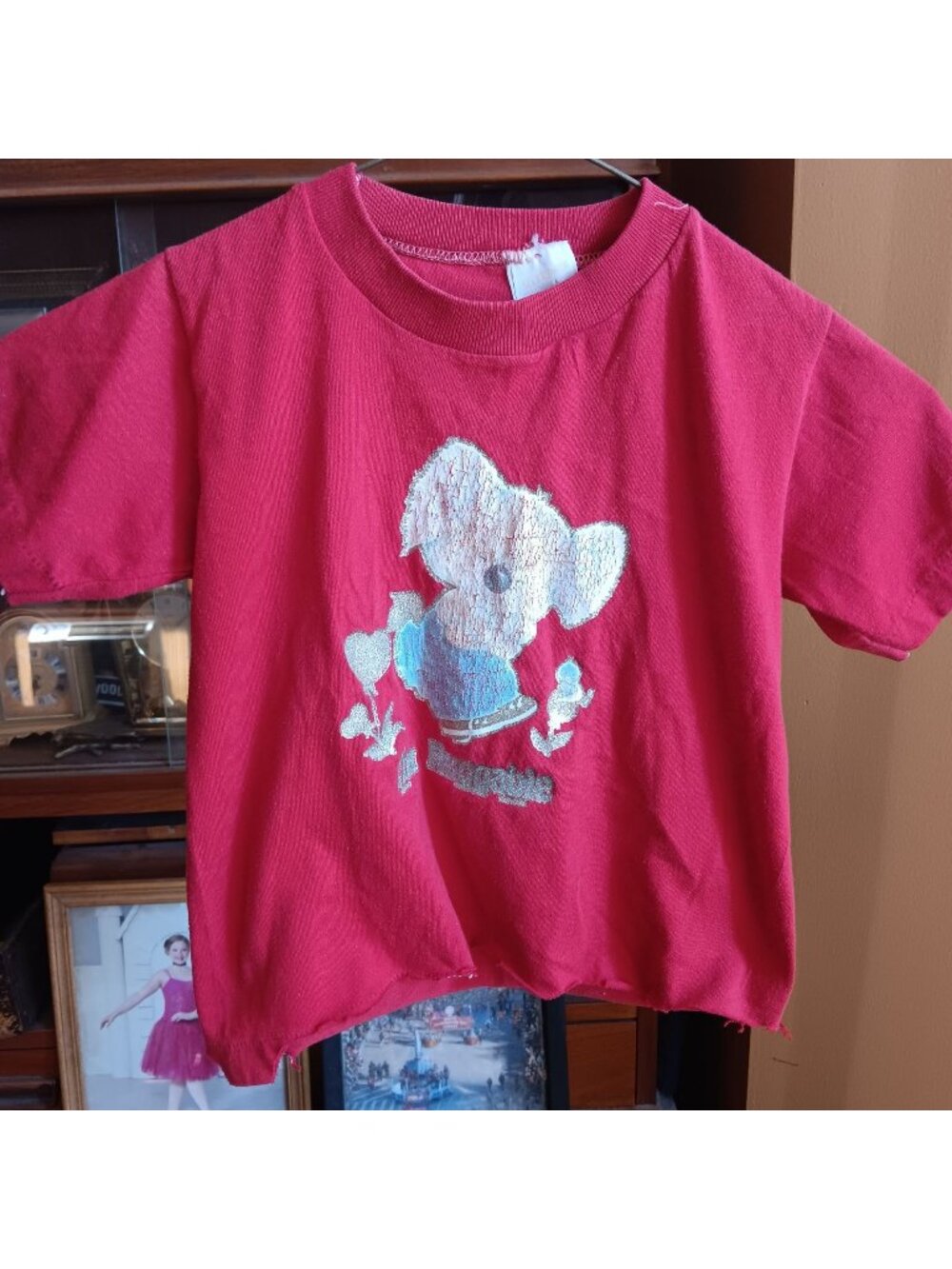 True Vintage 5T T-Shirt Glitter Koala "Huggable" Distress Boys Girls 1980's